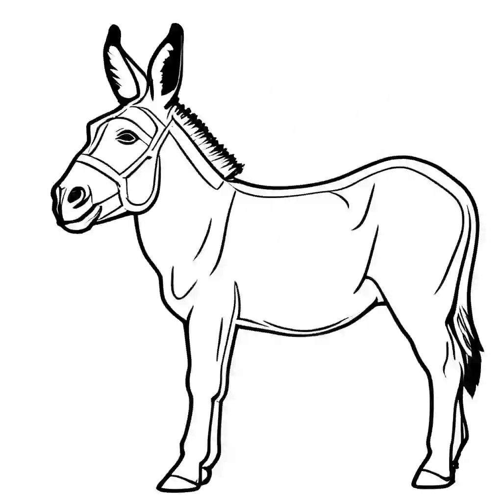Farm Animals_Donkeys_3732_.webp
